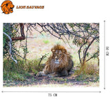 Dimensions du Puzzle Lion Africain 1000 Pièces
