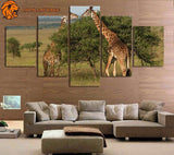 Tableau Girafe Savane accroché sur le mur