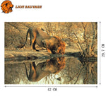 Dimensions du Puzzle Lion Afrique 1000 Pieces