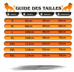 Guide Des Tailles pour Tee Shirt Lion Multicolore