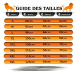 Guide des tailles Tee Shirt Lion Redoutable