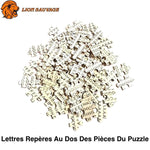 Pieces du Puzzle Tete de Lion 1000 pieces