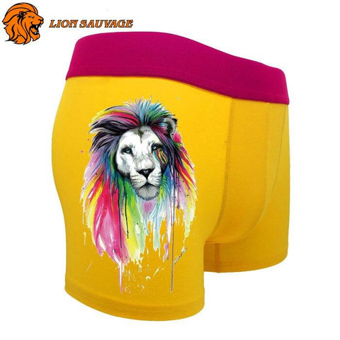 Boxer Lion Multicolore