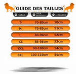 Guide des tailles pour Short Lion Furieux 